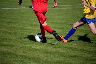 开云体育下载-NBA球员训练计划个性化设计，nba球员训练视频,篮球技术